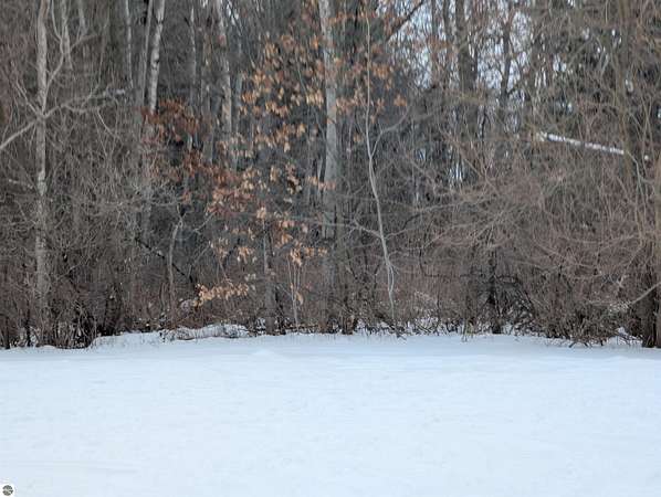 5.16 Acres of Land for Sale in Au Gres, Michigan