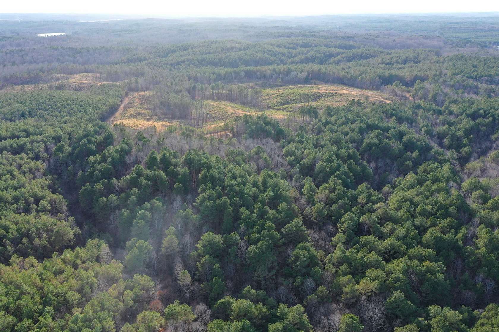 276 Acres of Recreational Land & Farm for Sale in Ripley, Mississippi