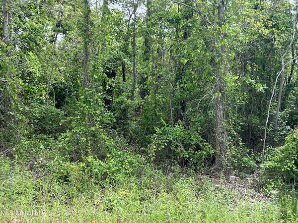 2 Acres of Land for Sale in Pass Christian, Mississippi