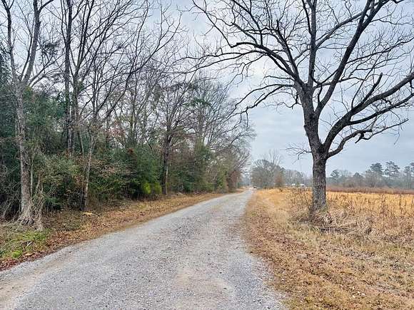 5 Acres of Residential Land for Sale in Poplarville, Mississippi