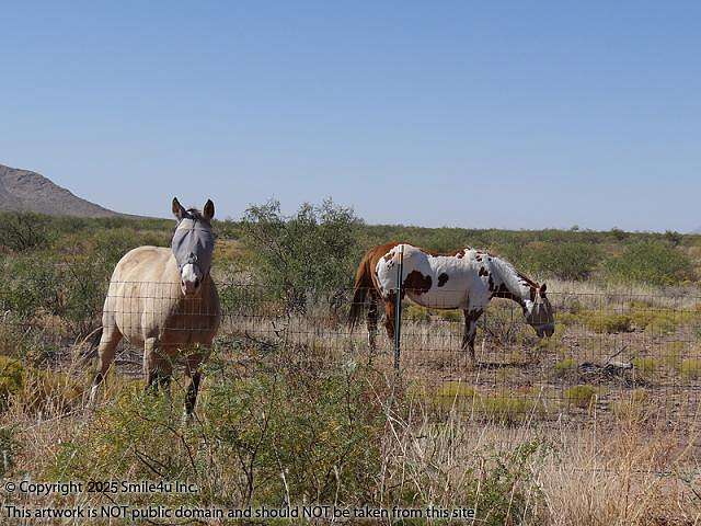 2.5 Acres of Residential Land for Sale in Deming, New Mexico