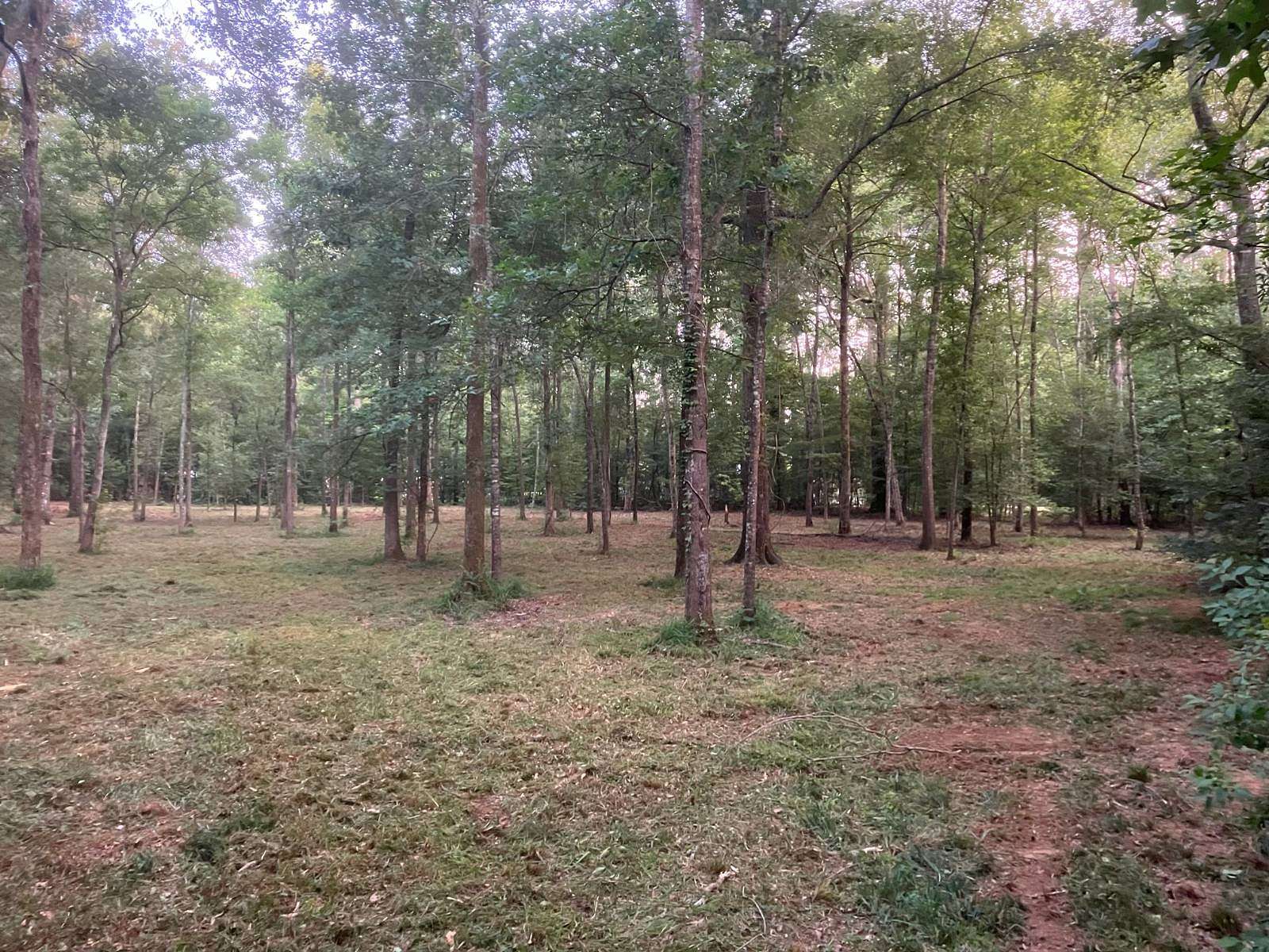 2 Acres of Residential Land for Sale in Noble, Louisiana