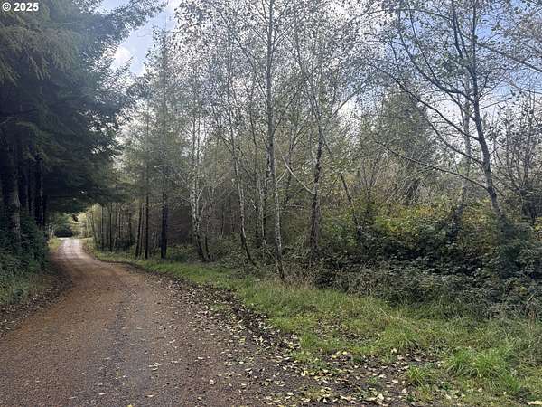 6.7 Acres of Residential Land for Sale in Lakeside, Oregon