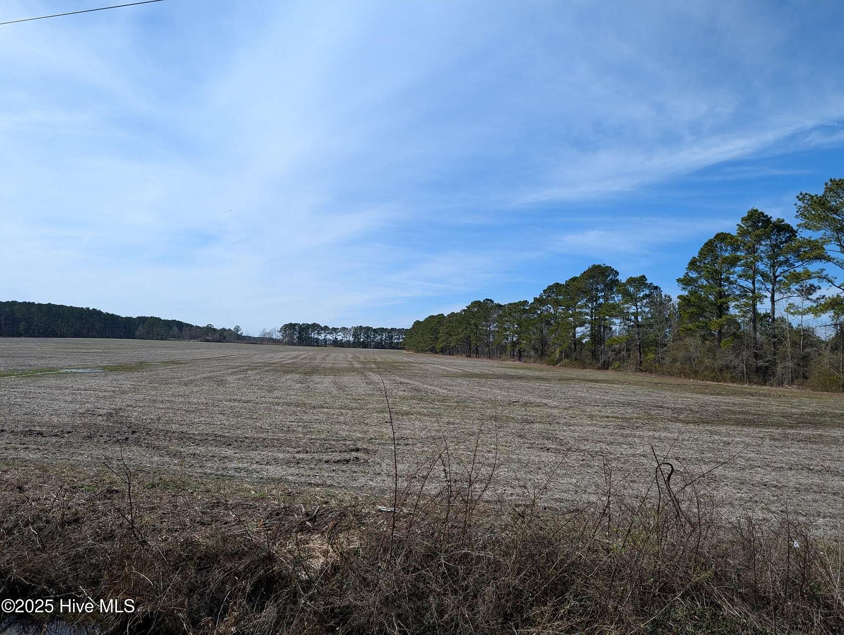 254 Acres of Agricultural Land for Sale in Trenton, North Carolina