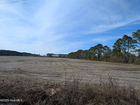 254 Acres of Agricultural Land for Sale in Trenton, North Carolina