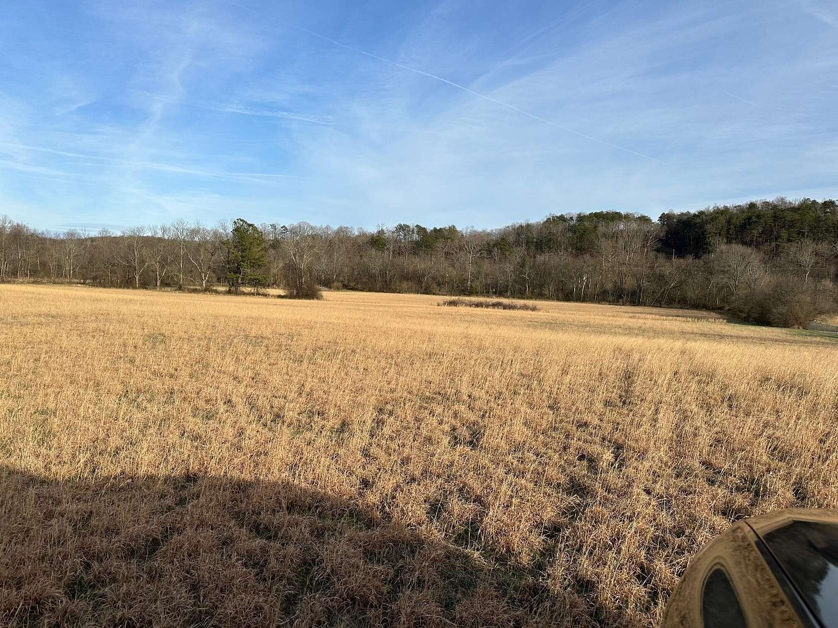 12.5 Acres of Land for Sale in Evensville, Tennessee