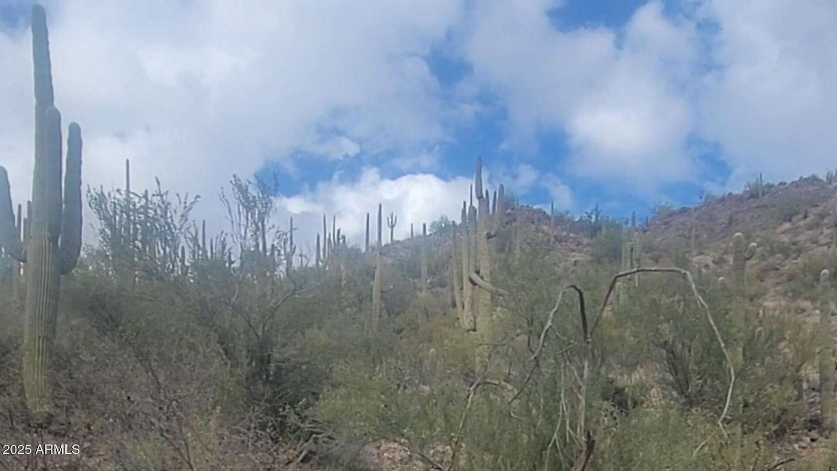 5 Acres of Residential Land for Sale in Morristown, Arizona