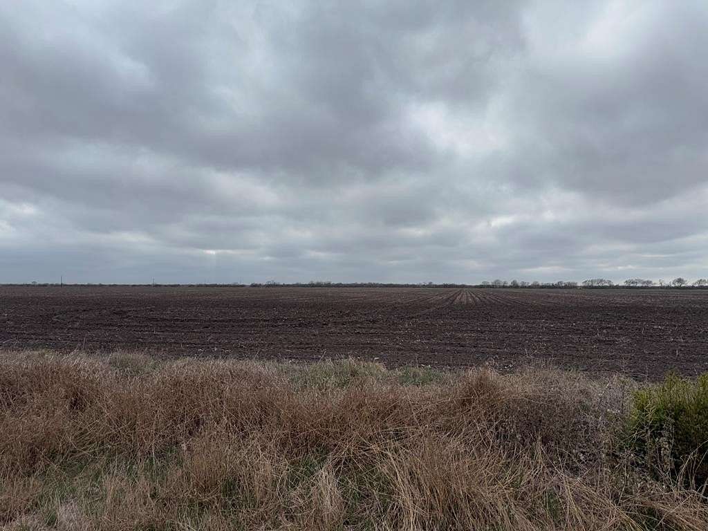 111 Acres of Agricultural Land for Sale in Mathis, Texas
