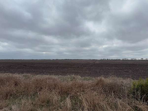 111 Acres of Agricultural Land for Sale in Mathis, Texas