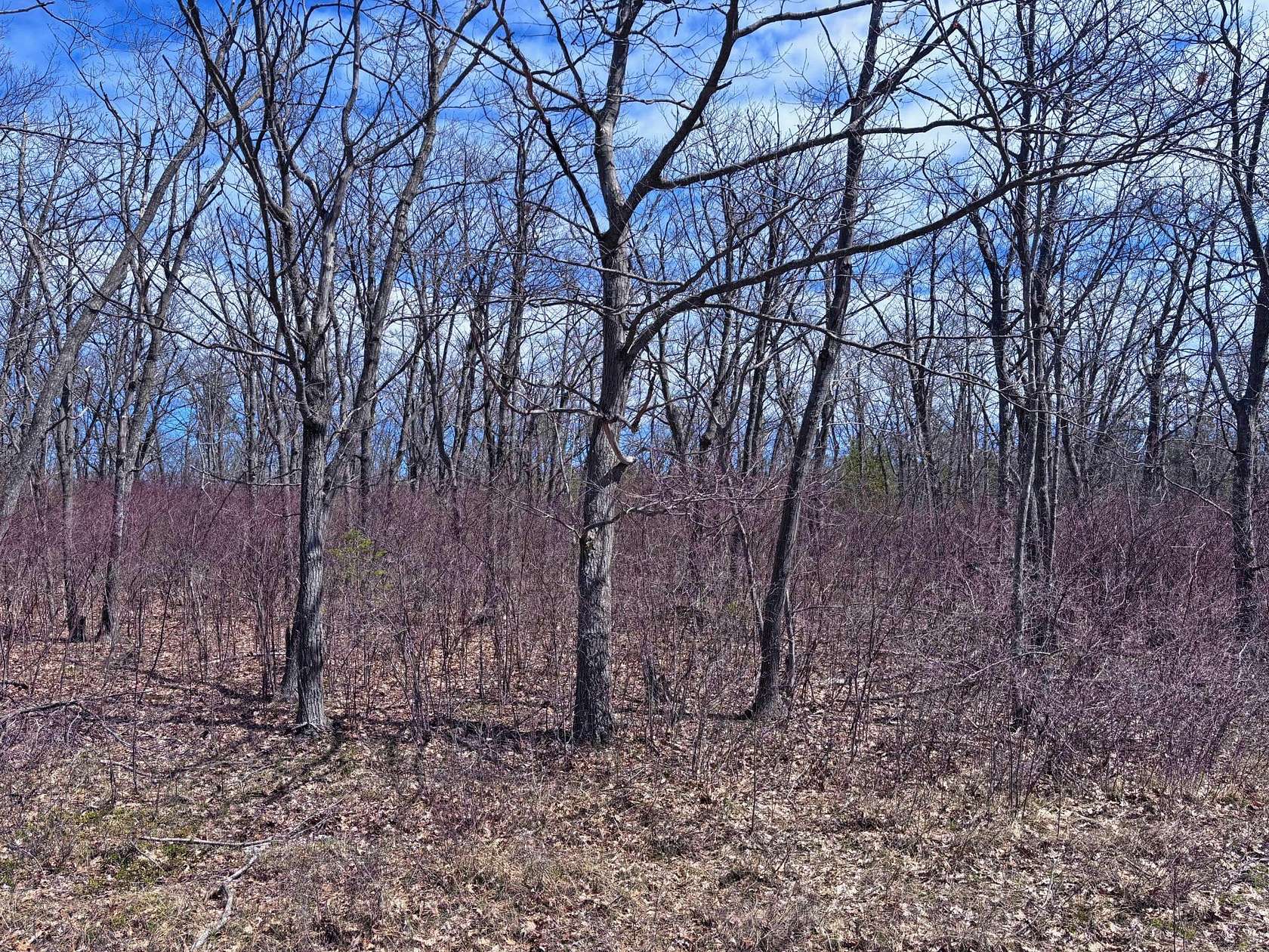 0.48 Acres of Residential Land for Sale in Presque Isle, Michigan