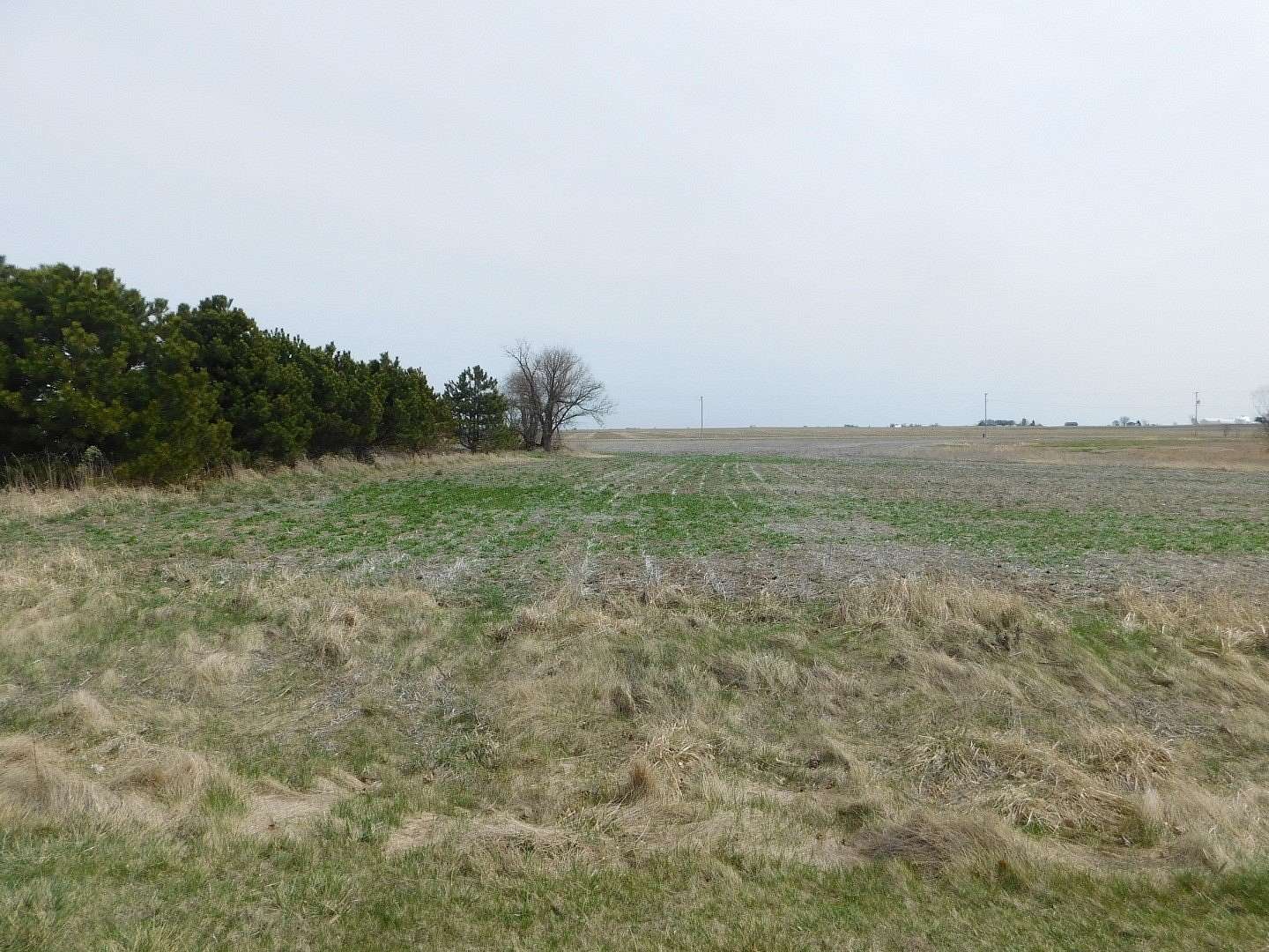1 Acre of Residential Land for Sale in Earlville, Illinois