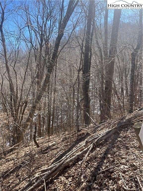 1 Acre of Land for Sale in Newland, North Carolina