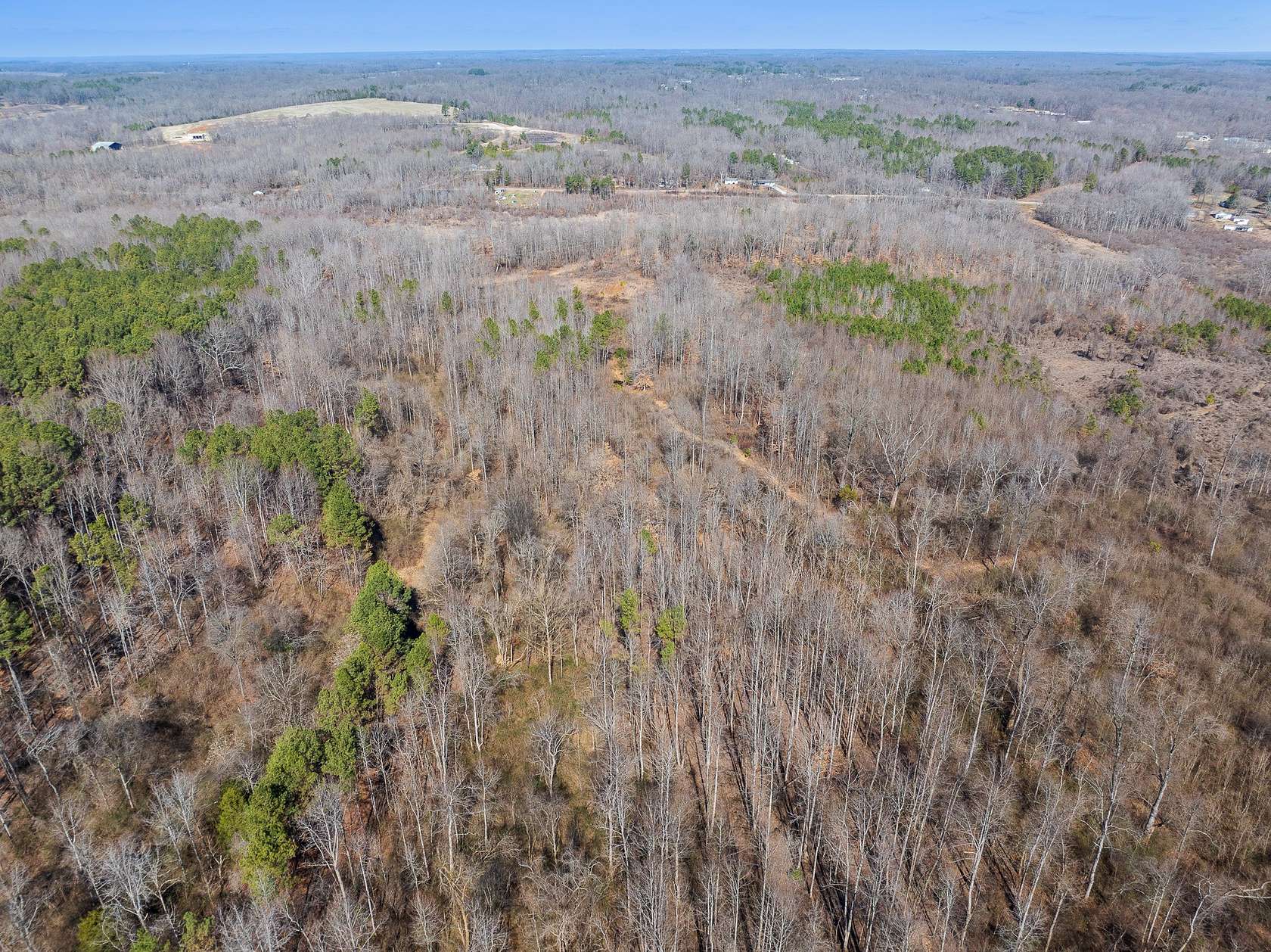 43.5 Acres of Land for Sale in Paris, Tennessee