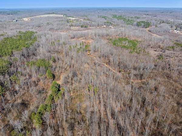 43.5 Acres of Land for Sale in Paris, Tennessee