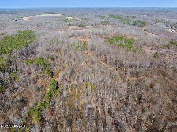 43.5 Acres of Recreational Land for Sale in Paris, Tennessee