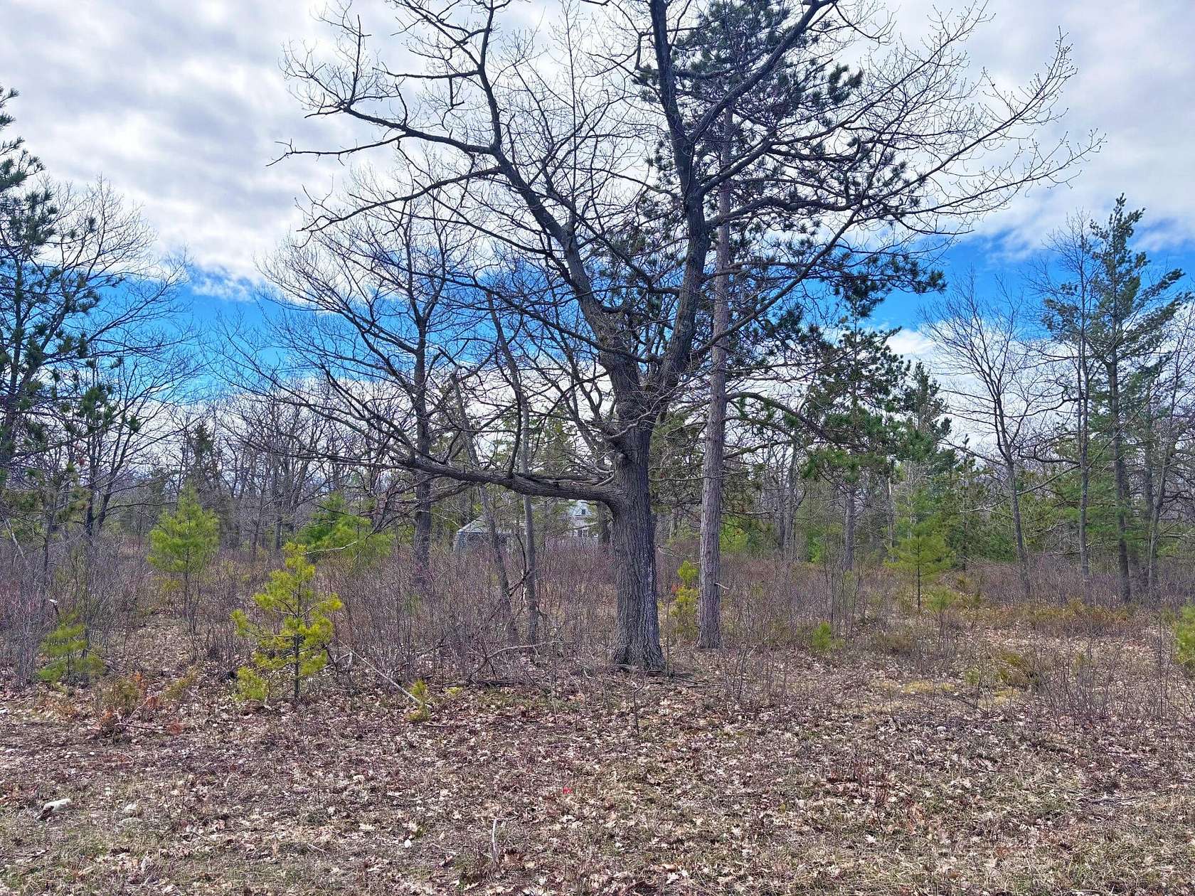 0.47 Acres of Residential Land for Sale in Presque Isle, Michigan