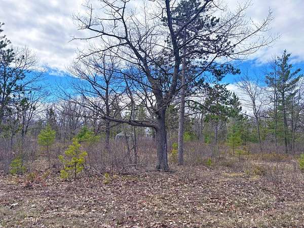0.47 Acres of Residential Land for Sale in Presque Isle, Michigan