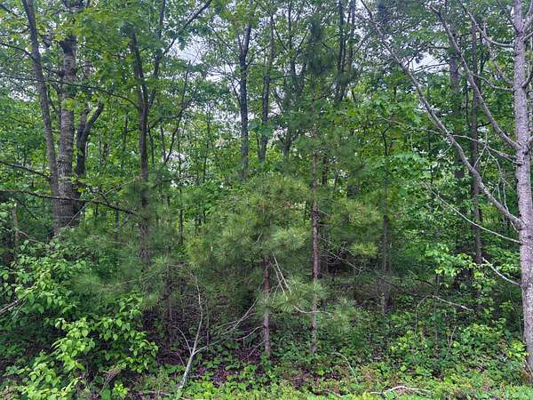 0.48 Acres of Residential Land for Sale in Presque Isle, Michigan
