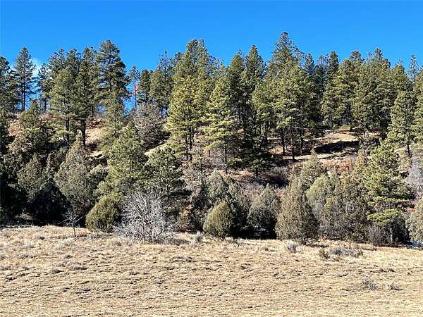 40 Acres of Land for Sale in Dulce, New Mexico