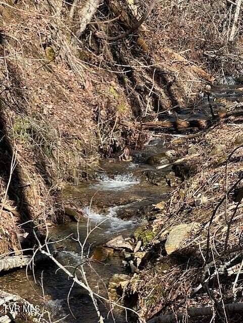 18.4 Acres of Land for Sale in Unicoi, Tennessee