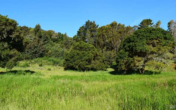 7.42 Acres of Residential Land for Sale in Tiburon, California