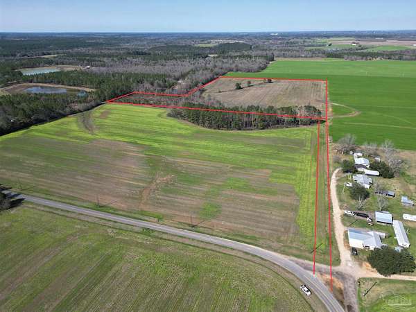 29.6 Acres of Land for Sale in McDavid, Florida