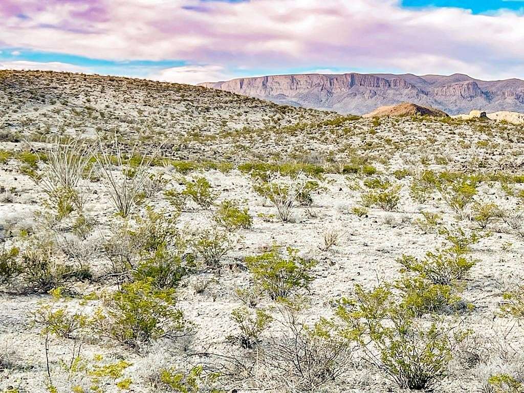 20 Acres of Land for Sale in Terlingua, Texas