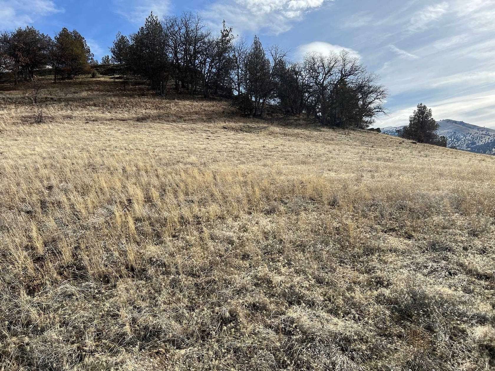 1.4 Acres of Land for Sale in Montague, California