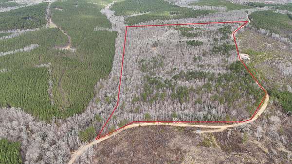 82 Acres of Recreational Land for Sale in Hamilton, Alabama
