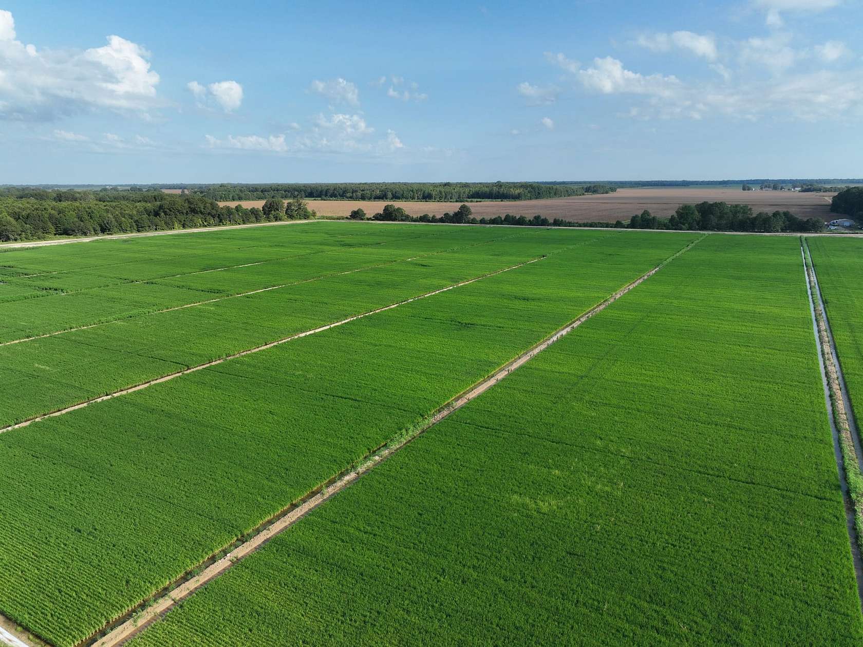 568 Acres of Recreational Land & Farm for Sale in Crowder, Mississippi