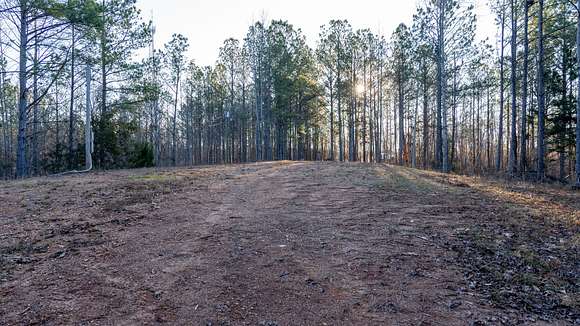 13 Acres of Agricultural Land for Sale in Rockford, Alabama