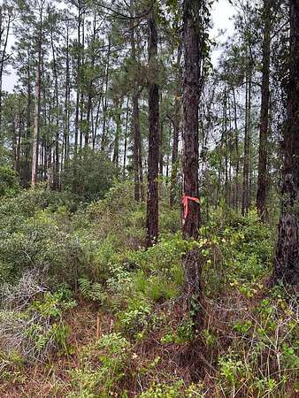 0.5 Acres of Land for Sale in Indian Lake Estates, Florida