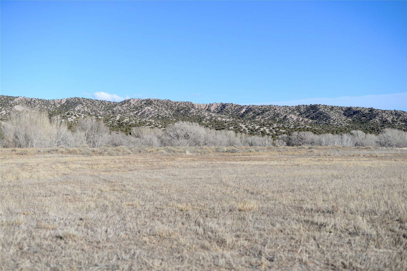 4.44 Acres of Land for Sale in El Rito, New Mexico