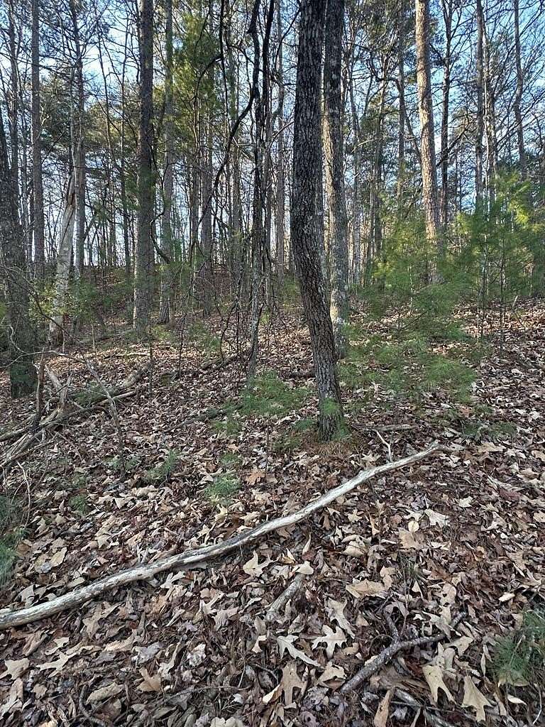 3.49 Acres of Land for Sale in Ellijay, Georgia