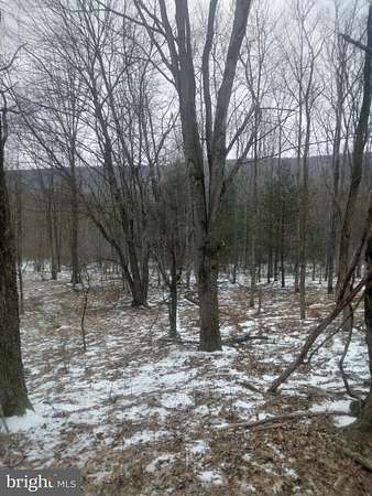 6 Acres of Residential Land for Sale in Williamstown, Pennsylvania