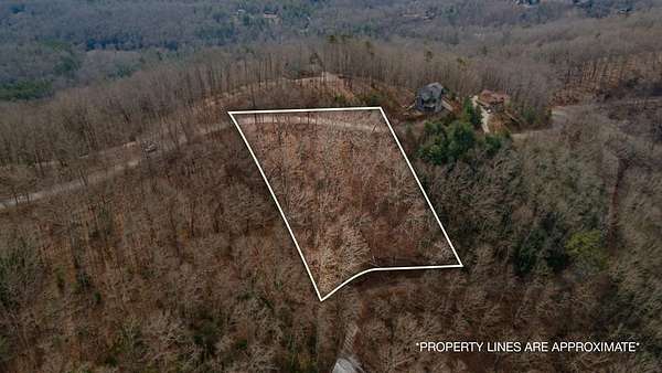 1.62 Acres of Residential Land for Sale in Mineral Bluff, Georgia