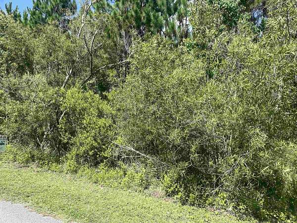 0.11 Acres of Residential Land for Sale in Carrabelle, Florida