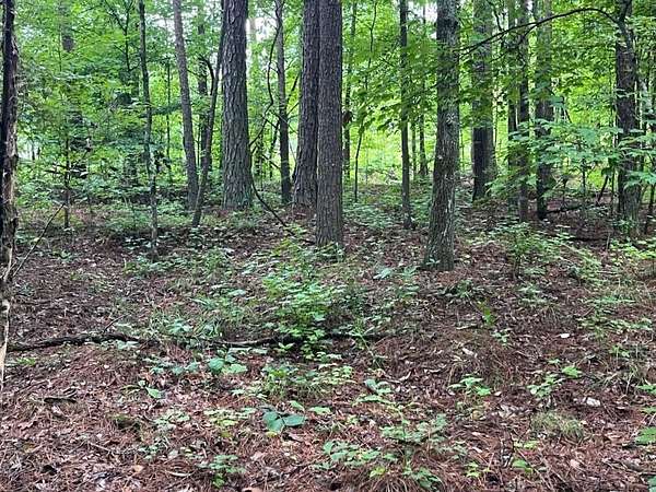 2.38 Acres of Residential Land for Sale in Dallas, Georgia