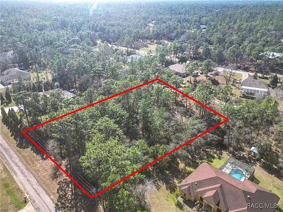 1 Acre of Residential Land for Sale in Beverly Hills, Florida