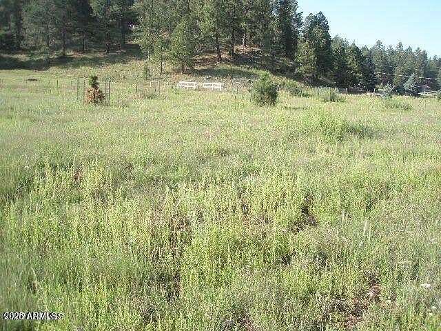 1 Acre of Land for Sale in Flagstaff, Arizona