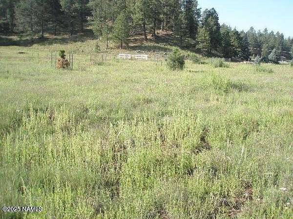 1 Acre of Land for Sale in Flagstaff, Arizona
