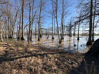 3 Acres of Residential Land for Sale in Mer Rouge, Louisiana