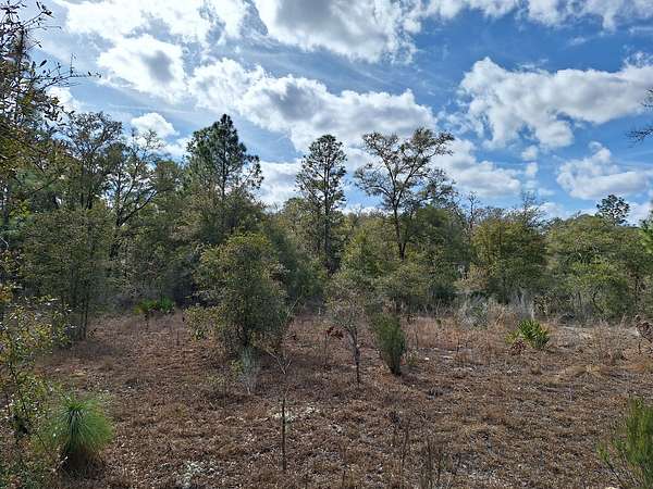 2.55 Acres of Land for Sale in Bronson, Florida