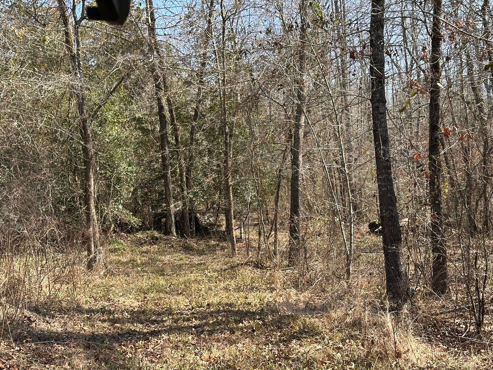 5.23 Acres of Residential Land for Sale in Naples, Texas