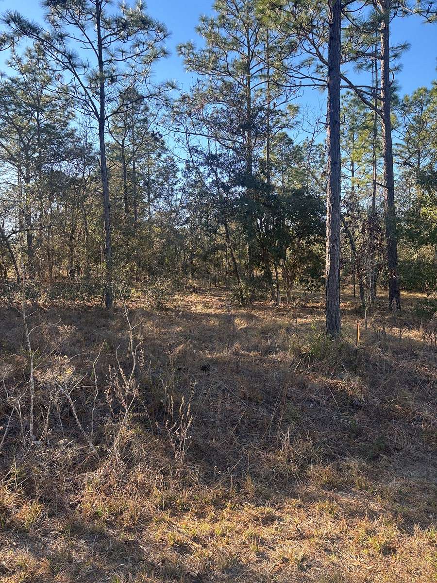 0.25 Acres of Residential Land for Sale in Dunnellon, Florida