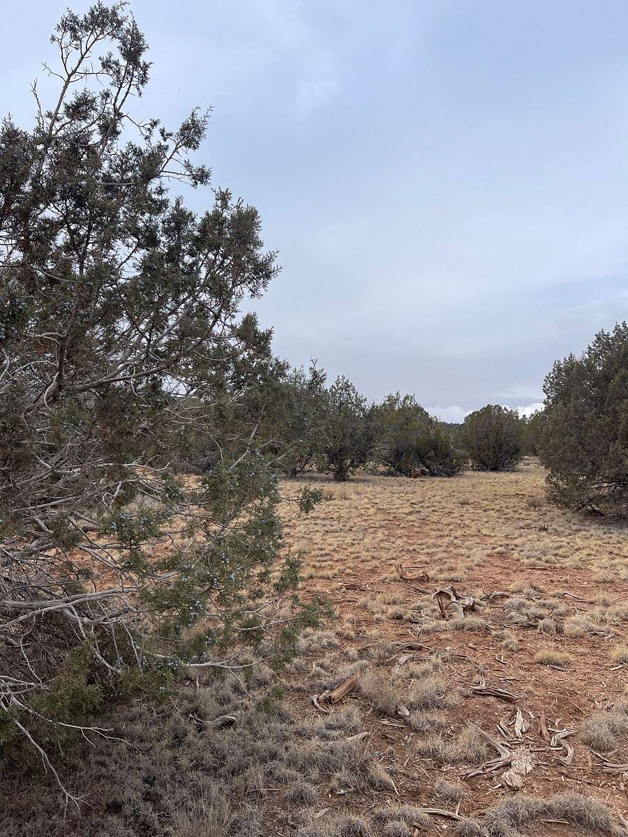 1 Acre of Residential Land for Sale in Seligman, Arizona