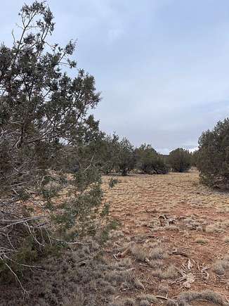 1 Acre of Residential Land for Sale in Seligman, Arizona