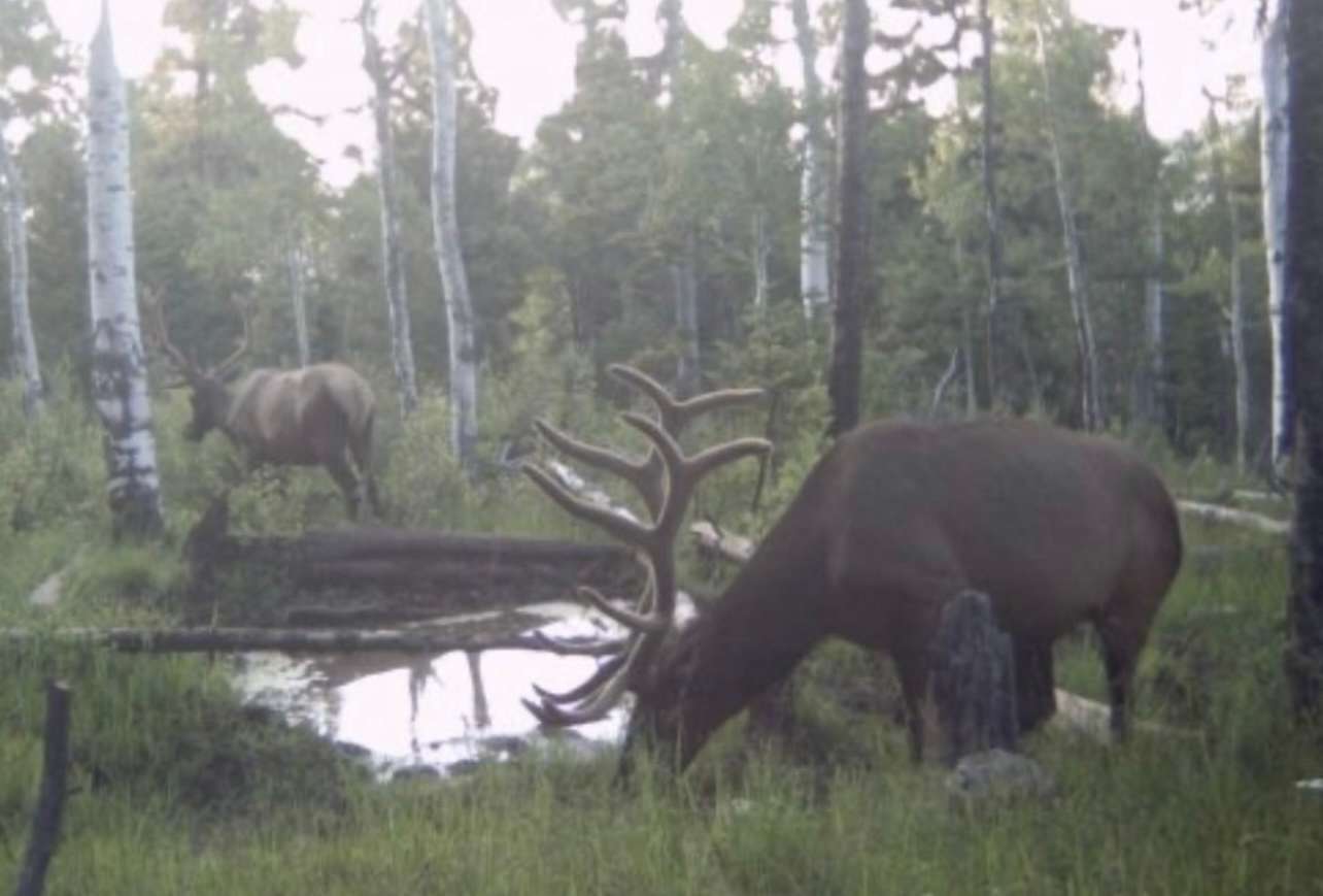 330 Acres of Recreational Land & Farm for Sale in Montrose, Colorado