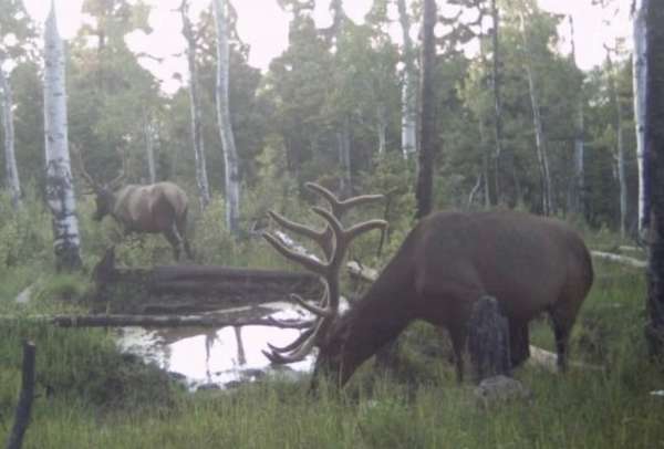 330 Acres of Recreational Land & Farm for Sale in Montrose, Colorado