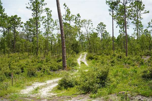 17 Acres of Recreational Land for Sale in Morriston, Florida